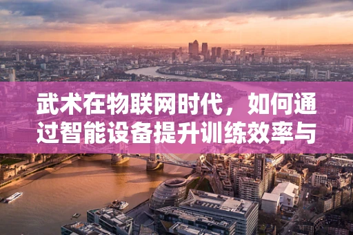 武术在物联网时代，如何通过智能设备提升训练效率与安全？