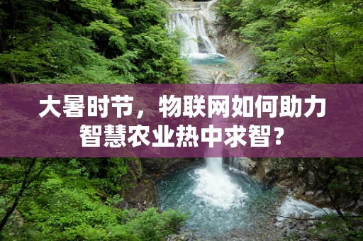 大暑时节，物联网如何助力智慧农业热中求智？