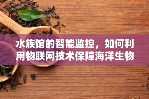 水族馆的智能监控，如何利用物联网技术保障海洋生物的福祉？