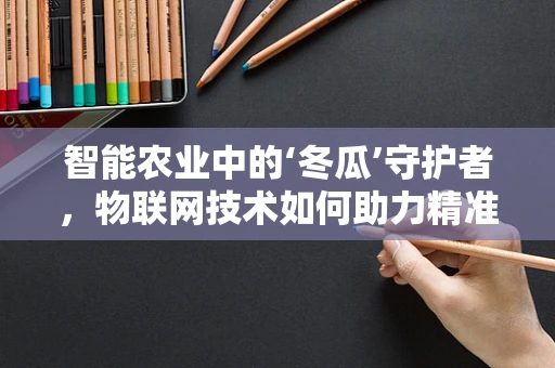 智能农业中的‘冬瓜’守护者，物联网技术如何助力精准种植？