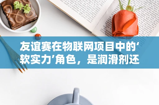 友谊赛在物联网项目中的‘软实力’角色，是润滑剂还是绊脚石？