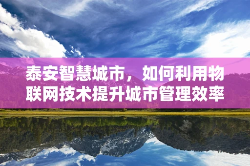 泰安智慧城市，如何利用物联网技术提升城市管理效率？