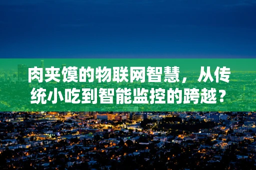 肉夹馍的物联网智慧，从传统小吃到智能监控的跨越？