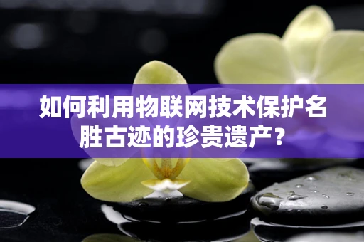 如何利用物联网技术保护名胜古迹的珍贵遗产？