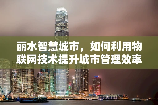 丽水智慧城市，如何利用物联网技术提升城市管理效率？