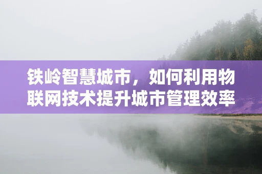 铁岭智慧城市，如何利用物联网技术提升城市管理效率？
