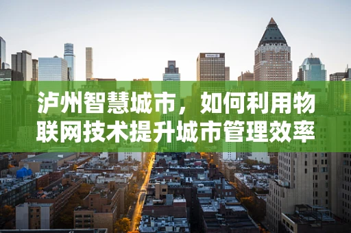 泸州智慧城市，如何利用物联网技术提升城市管理效率？