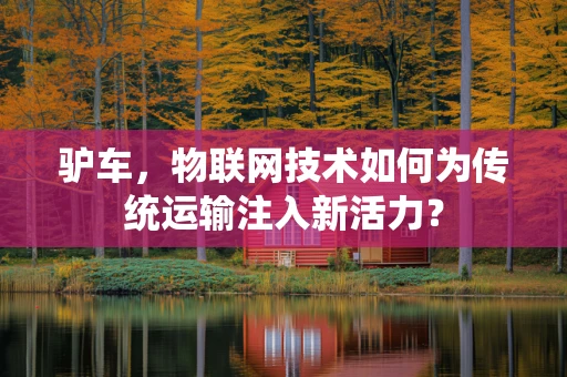 驴车，物联网技术如何为传统运输注入新活力？
