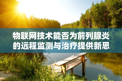 物联网技术能否为前列腺炎的远程监测与治疗提供新思路？