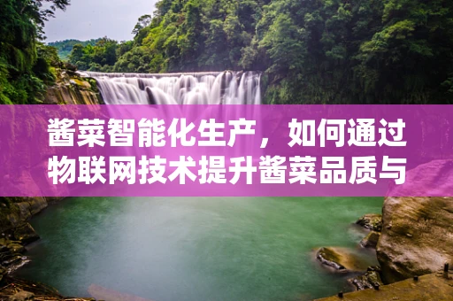 酱菜智能化生产，如何通过物联网技术提升酱菜品质与效率？