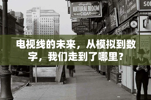 电视线的未来，从模拟到数字，我们走到了哪里？