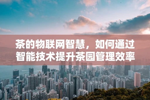 茶的物联网智慧，如何通过智能技术提升茶园管理效率？