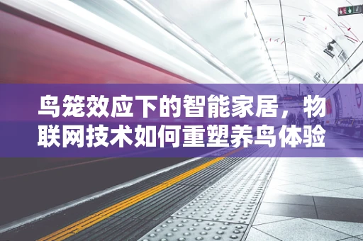 鸟笼效应下的智能家居，物联网技术如何重塑养鸟体验？