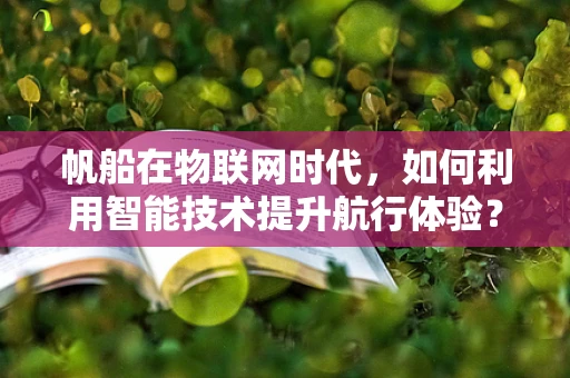 帆船在物联网时代，如何利用智能技术提升航行体验？