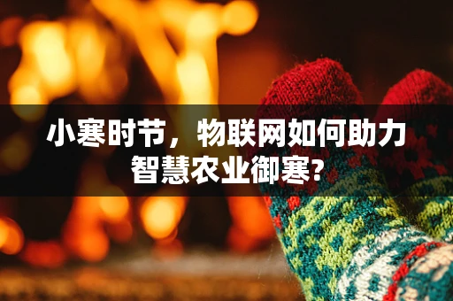 小寒时节，物联网如何助力智慧农业御寒?