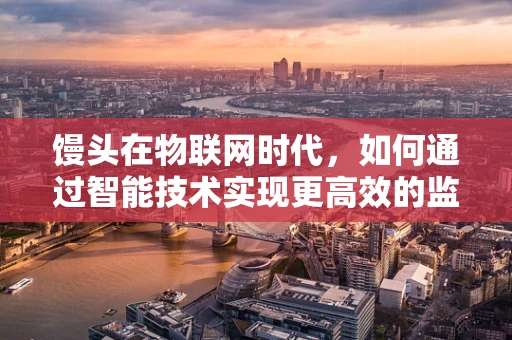 馒头在物联网时代，如何通过智能技术实现更高效的监控与保鲜？