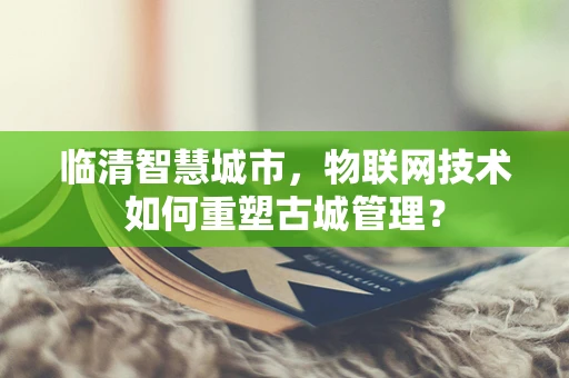 临清智慧城市，物联网技术如何重塑古城管理？