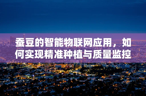 蚕豆的智能物联网应用，如何实现精准种植与质量监控？