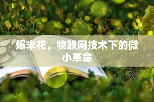 爆米花，物联网技术下的微小革命