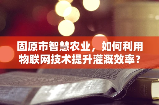 固原市智慧农业，如何利用物联网技术提升灌溉效率？