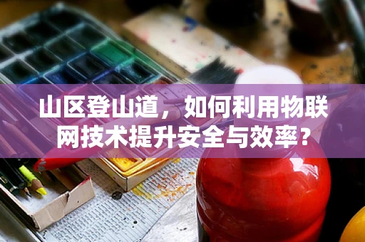 山区登山道，如何利用物联网技术提升安全与效率？