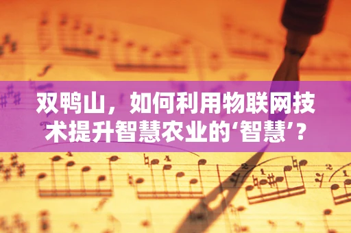 双鸭山，如何利用物联网技术提升智慧农业的‘智慧’？
