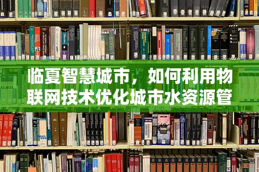 临夏智慧城市，如何利用物联网技术优化城市水资源管理？