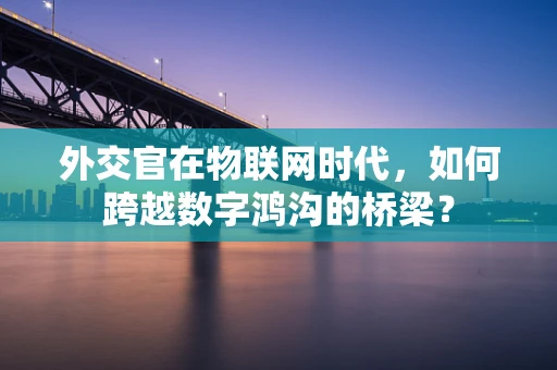 外交官在物联网时代，如何跨越数字鸿沟的桥梁？