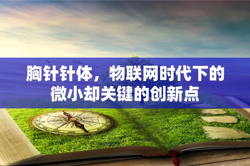 胸针针体，物联网时代下的微小却关键的创新点