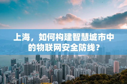 上海，如何构建智慧城市中的物联网安全防线？
