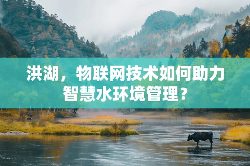 洪湖，物联网技术如何助力智慧水环境管理？