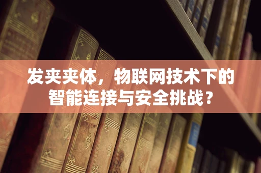 发夹夹体，物联网技术下的智能连接与安全挑战？