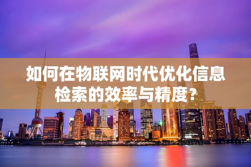 如何在物联网时代优化信息检索的效率与精度？