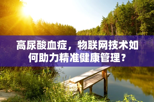 高尿酸血症，物联网技术如何助力精准健康管理？