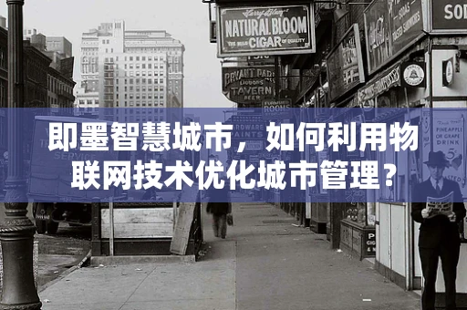 即墨智慧城市，如何利用物联网技术优化城市管理？