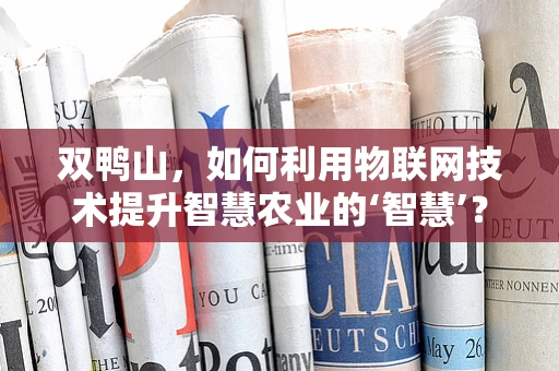 双鸭山，如何利用物联网技术提升智慧农业的‘智慧’？