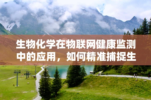 生物化学在物联网健康监测中的应用，如何精准捕捉生物标志物的微妙变化？