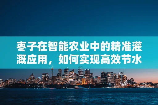 枣子在智能农业中的精准灌溉应用，如何实现高效节水？