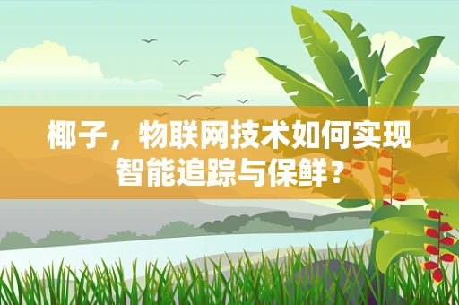 椰子，物联网技术如何实现智能追踪与保鲜？