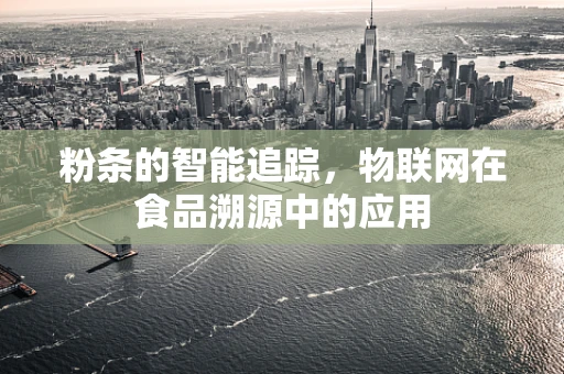 粉条的智能追踪，物联网在食品溯源中的应用