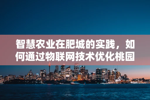 智慧农业在肥城的实践，如何通过物联网技术优化桃园管理？