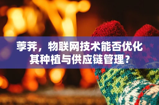 荸荠，物联网技术能否优化其种植与供应链管理？