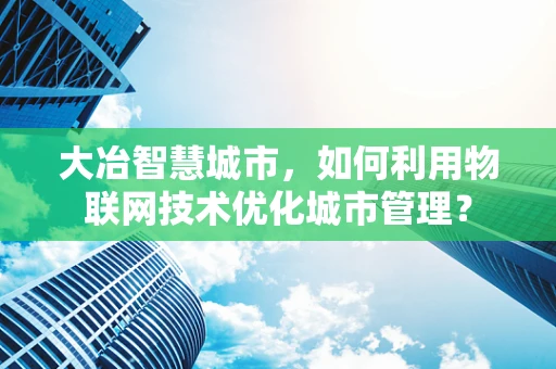 大冶智慧城市，如何利用物联网技术优化城市管理？