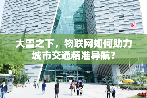 大雪之下，物联网如何助力城市交通精准导航？
