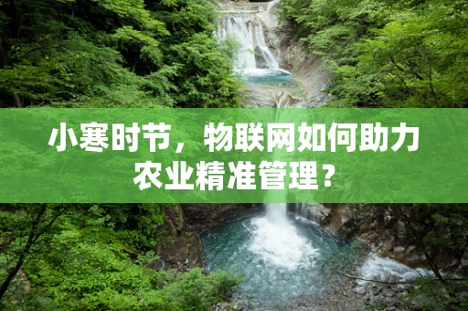小寒时节，物联网如何助力农业精准管理？