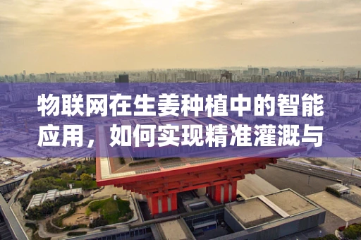 物联网在生姜种植中的智能应用，如何实现精准灌溉与病虫害监测？