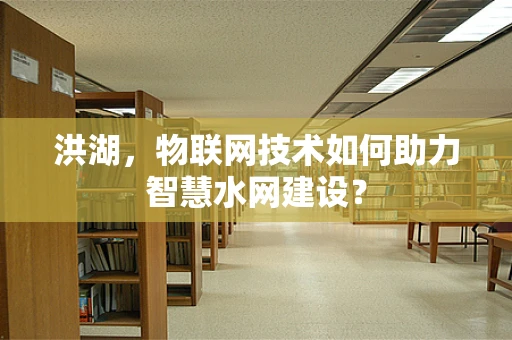洪湖，物联网技术如何助力智慧水网建设？