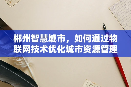 郴州智慧城市，如何通过物联网技术优化城市资源管理？