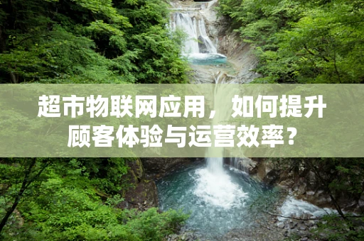 超市物联网应用，如何提升顾客体验与运营效率？