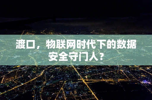 渡口，物联网时代下的数据安全守门人？